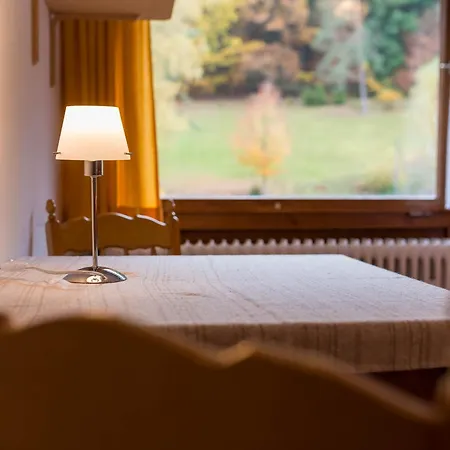Enri Theater & Pension Bruderhaus Altensteig Room photo
